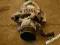 GETZ MATRIX 1.5 CRDI 2005 ALTERNATOR DENSO