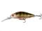 Savage Gear Prey63 Perch 6,3cm