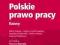 Polskie prawo pracy Kazusy 2013 NOWA FV