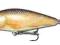 Salmo Perch PH14F RR 14cm 50g - PROMOCJA