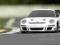 RTR SPRINT 2 FLUX 2.4GHz WITH PORSCHE 911 GT3 RS B