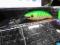 RAPALA WOBLER tail dancer na Suma TROLLING _11cm@