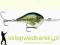 Wobler Rapala DT (Dives To) 7cm/22g/4,3m, Kol: BB