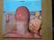 TOE FAT (pre-URIAH HEEP) - TOE FAT (1)- VINYL NOWY