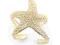 Cudowna bransoletka starfish rozgwiazda HIT gwiazd