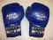 Rękawice bokserskie GREEN HILL SKÓRA 12oz-PROMO
