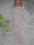 St.Bernard różowy śpiworek 0-3 m. Stan bdb+