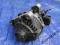 PEUGEOT 306 LIFT 1.9TD ALTERNATOR SILNIKA