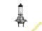 ŻARÓWKA H7 12V 55W NARVA KR