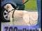TRIXIE Szelki samochodowe L TX-1292