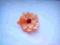 Broszka kwiat filc w kolorze brzoskwini