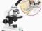 Mikroskop Delta Optical BioStage II + Preparaty 50