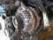 MAZDA2 II ALTERNATOR 1.3 16V CZESCI 07-12R