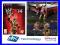 GRA WWE 2K14 PS3 24h BOX