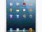 iPad mini z WiFi 16GB Biało tablet apple new