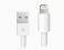 Kabel USB Lightning do Apple iPhone 5 iPod iPad Gw