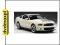 AUTOART FORD SHELBY GT500 2010 72917 (MODELARSTWO)