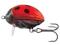 Wobler Salmo LIL'BUG LADYBIRD 3cm/4.3g flo