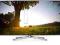Telewizor SAMSUNG UE40F6500SS