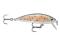 WOBLER RAPALA X-RAP COUNTDOWN XRCD05 TR BYDGOSZCZ