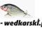 JAXON Wobler KARAŚ F HoloSelect 7,5cm13G PŁYWAJĄCY