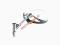 LUSTERKO LEWE XVS 1100 DRAG STAR 99-04