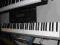 KEYBOARD CASIO WK 220 +Stojak i Pokrowiec N.D.M.