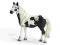 PINTO OGIER SCHLEICH [PROMOCJA] Poznan terazzabawk