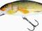 Wobler Salmo PERCH REAL ROACH 14cm/62g SDR