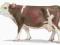 KROWA RASY SIMMENTAL SCHLEICH [PROMOCJA] Poznan te