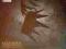 Katatonia  Dethroned &amp; Uncrowned 2XLP