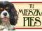 CAVALIER KING CHARLES SPANIEL TABLICZKA NA DRZWI