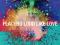 Placebo Loud Like Love CD / rarytas!
