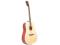 Morrison MGW305 NT Gitara akustyczna + struny!