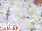 Płatki róż białozielone 300 ślub wesele dekoracje
