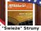 Struny D'Addario 8020 Bronze EJ10 10-47