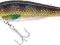 JAXON WOBLER HOLO REFLEX SHAD VJ-AF100834 WARSZAWA