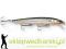 Wobler Rapala Husky Jerk 10cm-NAT/10g, Kolor: S