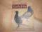 GOŁĘBIE PWRiL 1955 rok oryginalna z epoki PRL-u