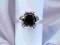NoworocznaObniżka pierścionek z cyrkonią srebro925