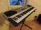 Keyboard Casio klawiatura sterująca, organy, MIDI