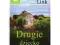 Drugie dziecko audiobook CD-mp3 Charlotte Link