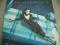Belinda Carlisle-Heaven On Earth