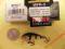WOBLER MINI FAT RAP  3cm kolor P cena OK
