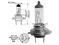 Żarówka H7 12v 55w PX26D BOSMA LAMPS