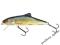 Wobler SALMO SKINNER 12F   Real Roach 12cm/19gr