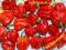 SUSZONA PAPRYKA CHILI HABANERO 3 GATUNKI I INNE