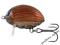 Wobler SALMO LIL'BUG May Bug 2,5cm