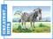 CASTOR 24 MINI ZEBRA A-02405-Z (PUZZLE)