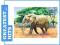 CASTOR 24 MINI SŁOŃ A-02405-Z (PUZZLE)